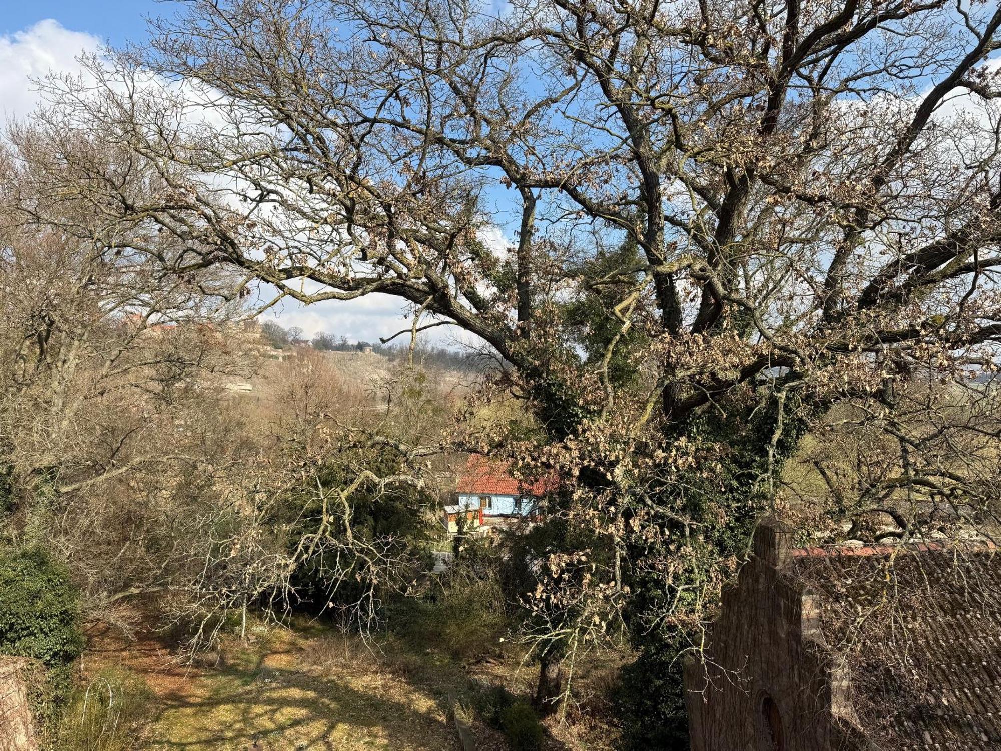 Schloss Zingst Querfurt Ngoại thất bức ảnh